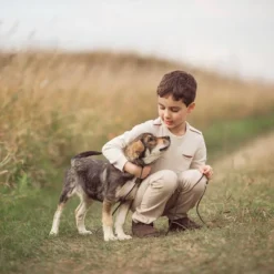 Children's Cetirizine Hydrochloride Allergy Relief Liquid - Grape - 8 Fl Oz - Up & Up™