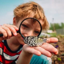 Up & Up Ibuprofen Children's Chewables (NSAID) - 48ct - Up&up™ -Care Wellness Store GUEST e54071c6 d390 4036 ab2e ac9a1ab52543