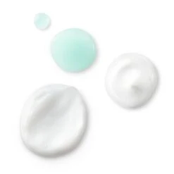 Care Wellness Store -Care Wellness Store GUEST fb454537 2490 469a ae2d 960bfddc4a1f